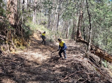 Trail crew clear trails and fallen branches ready for MTB season on Mt Buller