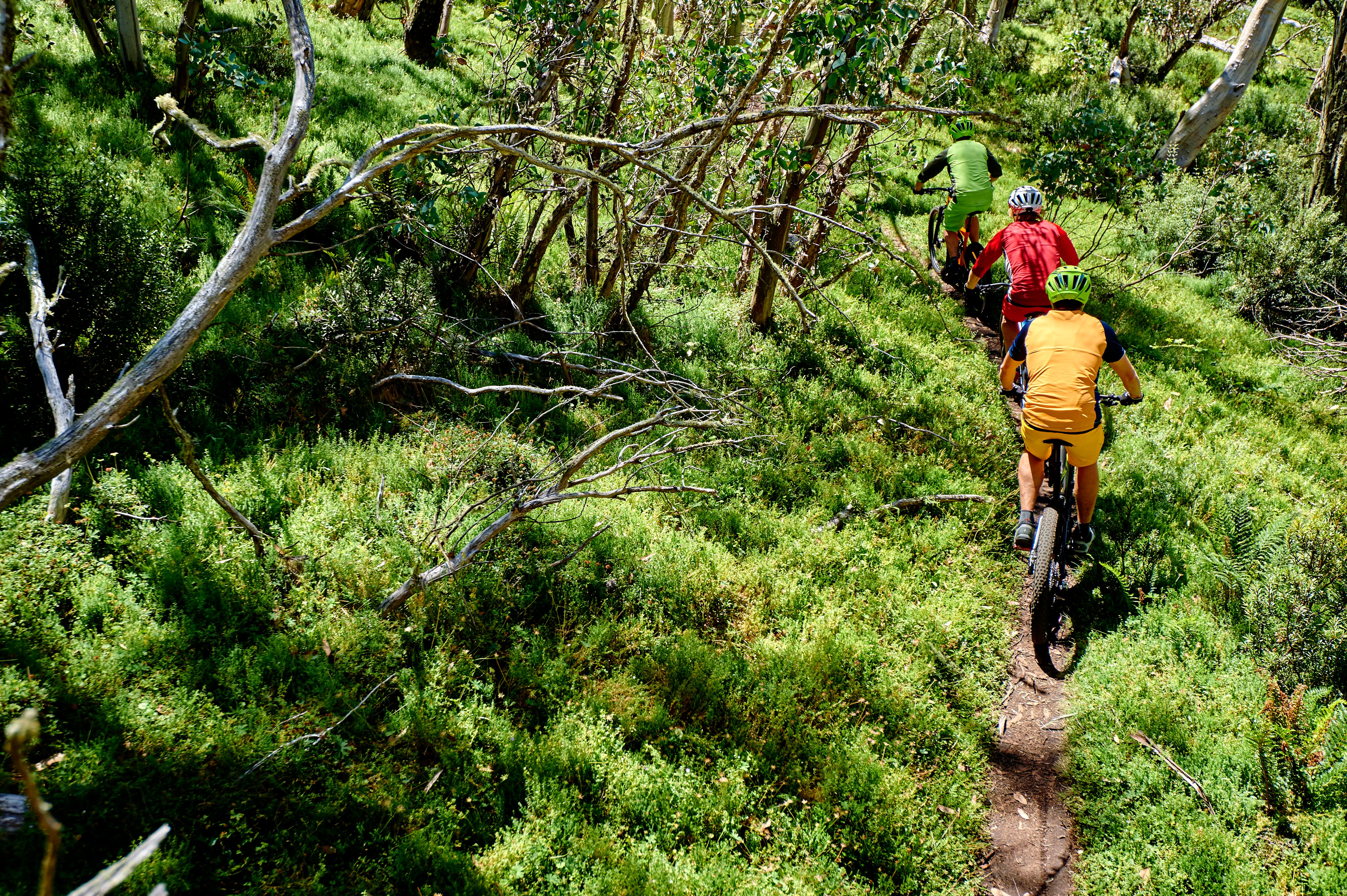 Summer mountain bike